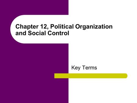 Chapter 12, Political Organization and Social Control Key Terms.