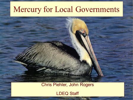 Mercury for Local Governments Chris Piehler, John Rogers LDEQ Staff.