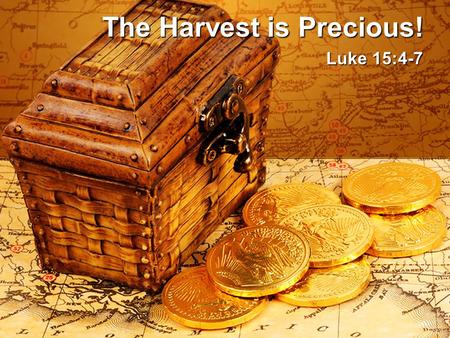 The Harvest is Precious! Luke 15:4-7. The Harvest is Precious! Message Thesis: God is mindful of us! Mindful: aware of, cognizant, concerned Message Objective: