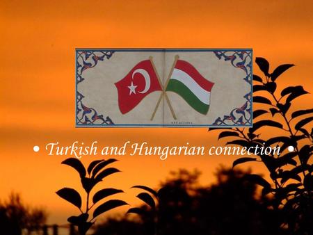 Turkish and Hungarian connection Turkish loan words in Hungarian language ☺Hugarian language has hundreds of Turkish loan words, which show close connection.