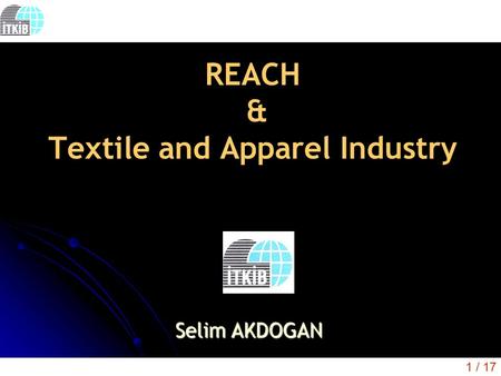 1 / 17 REACH & Textile and Apparel Industry Selim AKDOGAN.