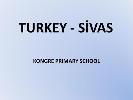 TURKEY - SİVAS KONGRE PRIMARY SCHOOL. ALL ABOUT TURKEY.