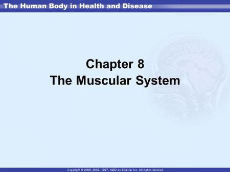 Chapter 8 The Muscular System. Muscle tissue is made of a collection of similar muscle cells (or fibers). There are three types of muscle found in the.