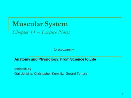 Muscular System Chapter 11 – Lecture Notes