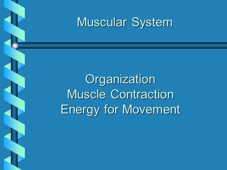Muscle Contraction Energy for Movement
