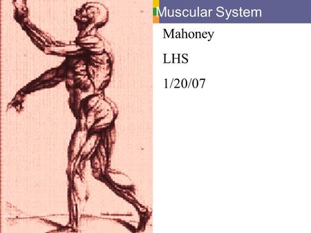 Muscular System Mahoney LHS 1/20/07.