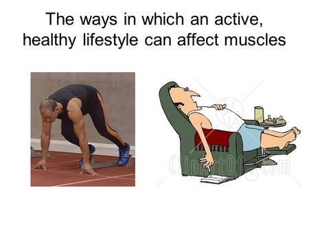 The ways in which an active, healthy lifestyle can affect muscles.