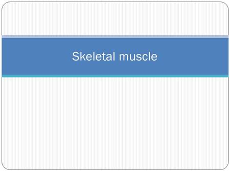 Skeletal muscle.