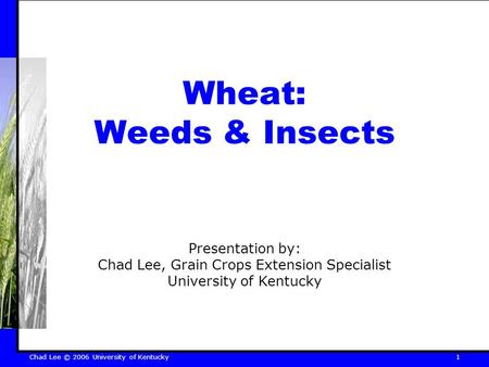 Chad Lee © 2006 University of Kentucky 1 Wheat: Weeds & Insects Presentation by: Chad Lee, Grain Crops Extension Specialist University of Kentucky.