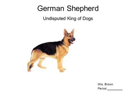 German Shepherd Undisputed King of Dogs Mrs. Brown Period _________.