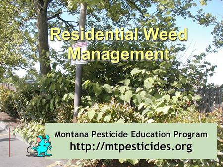 Montana Pesticide Education Program  Residential Weed Management.