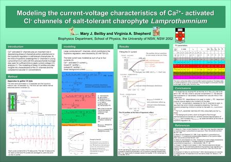 Modeling the current-voltage characteristics of Ca 2+ - activated Cl - channels of salt-tolerant charophyte Lamprothamnium Mary J. Beilby and Virginia.