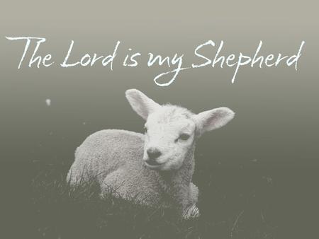 Psalm 23 (NIV) 1 The Lord is my shepherd, I shall not be in want. 2 He makes me lie down in green pastures, he leads me beside quiet waters, 3 he restores.