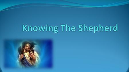 Knowing The Shepherd What people are saying:  A prophet  A teacher  Not the Son of God  Not real.