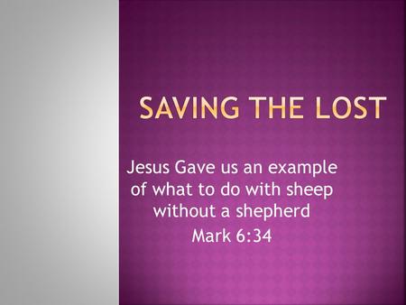 Jesus Gave us an example of what to do with sheep without a shepherd Mark 6:34.