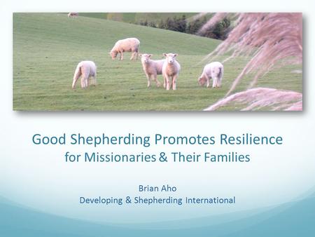 Good Shepherding Promotes Resilience for Missionaries & Their Families Brian Aho Developing & Shepherding International.