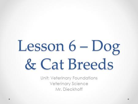 Lesson 6 – Dog & Cat Breeds Unit: Veterinary Foundations Veterinary Science Mr. Dieckhoff.