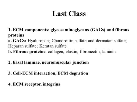 Last Class 1. ECM components: glycosaminoglycans (GAGs) and fibrous proteins a. GAGs: Hyaluronan; Chondroitin sulfate and dermatan sulfate; Heparan sulfate;