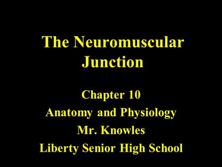 The Neuromuscular Junction Chapter 10 Anatomy and Physiology Mr. Knowles Liberty Senior High School.