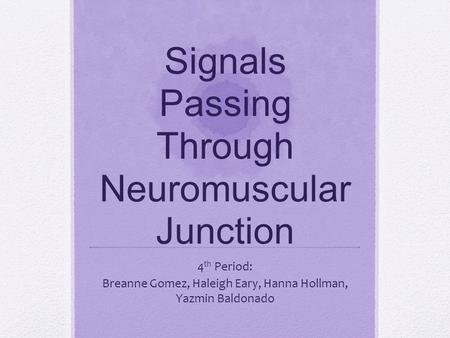 Signals Passing Through Neuromuscular Junction 4 th Period: Breanne Gomez, Haleigh Eary, Hanna Hollman, Yazmin Baldonado.