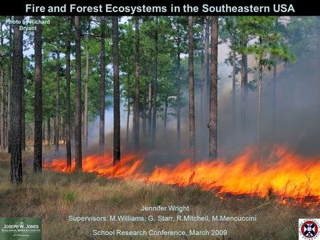 School Research Conference, March 2009 Jennifer Wright Supervisors: M.Williams, G. Starr, R.Mitchell, M.Mencuccini Fire and Forest Ecosystems in the Southeastern.