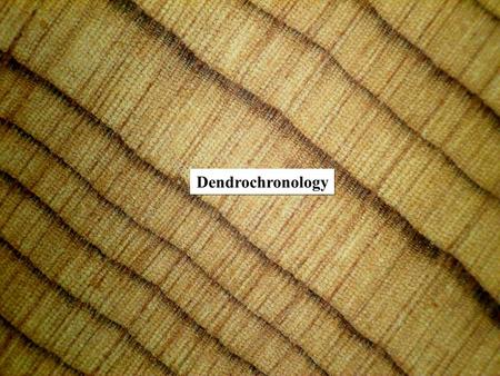 Dendrochronology. Dendroecology Dendroecology uses dated tree rings to study ecological events such as fire and insect outbreaks Was developed by Theodor.