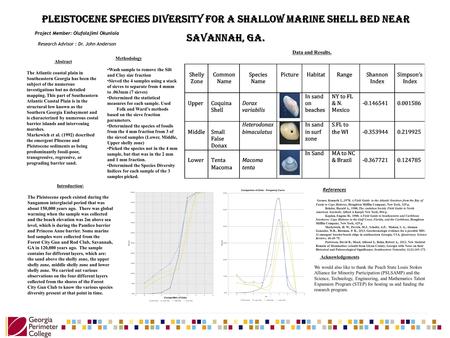 Pleistocene species diversity for a shallow marine shell bed near Savannah, GA. Project Member: Olufolajimi Okunlola Research Advisor : Dr. John Anderson.