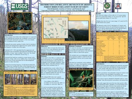 DISTRIBUTION AND RELATIVE ABUNDANCE OF ARIZONA FOREST BIRDS IN RELATION TO BURN SEVERITY Chris Kirkpatrick 1, Courtney J. Conway 2, and Patricia B. Jones.