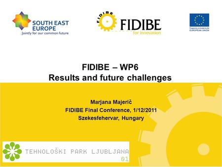 FIDIBE – WP6 Results and future challenges Marjana Majerič FIDIBE Final Conference, 1/12/2011 Szekesfehervar, Hungary.