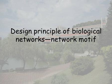 Design principle of biological networks—network motif.