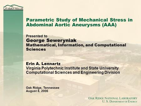 Presented to George Seweryniak Mathematical, Information, and Computational Sciences Erin A. Lennartz Virginia Polytechnic Institute and State University.