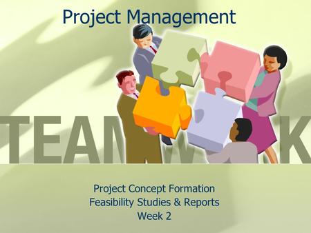 Project Concept Formation Feasibility Studies & Reports Week 2