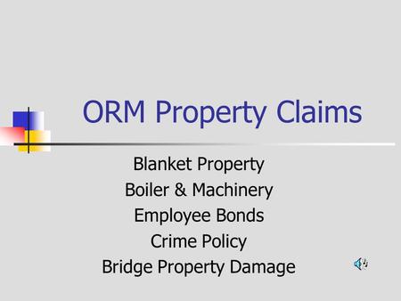 ORM Property Claims Blanket Property Boiler & Machinery Employee Bonds Crime Policy Bridge Property Damage.