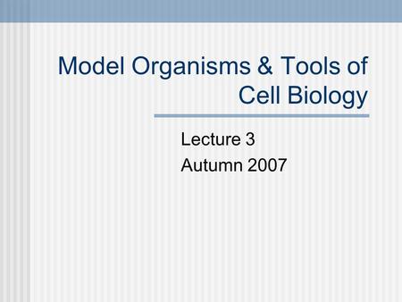 Model Organisms & Tools of Cell Biology Lecture 3 Autumn 2007.