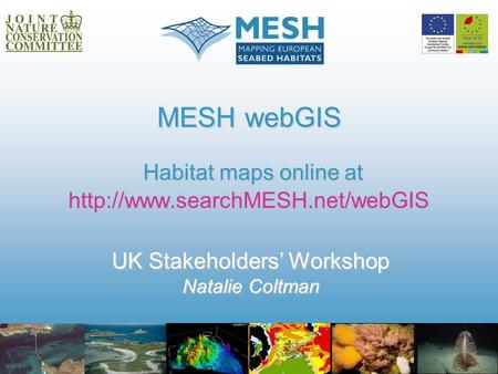MESH webGIS Habitat maps online at