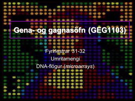 Gena- og gagnasöfn (GEG1103) Fyrirlestrar 31-32 Umritamengi DNA-flögur (microarrays)
