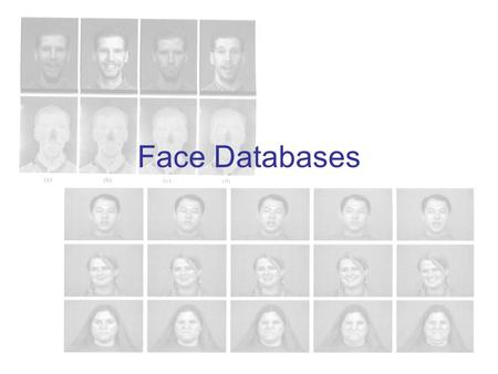 Face Databases. Databases for Face Recognition The appearance of a face is affected by many factors because of its non-rigidity and complex 3D structure: