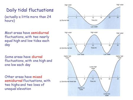 Daily tidal fluctuations (actually a little more than 24 hours) Most areas have semidiurnal fluctuations, with two nearly equal high and low tides each.