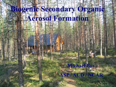 Biogenic Secondary Organic Aerosol Formation Michael Boy ASP / ACD / NCAR.