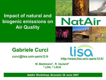 Impact of natural and biogenic emissions on Air Quality