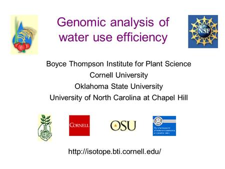 Genomic analysis of water use efficiency Boyce Thompson Institute for Plant Science Cornell University Oklahoma State University University of North Carolina.