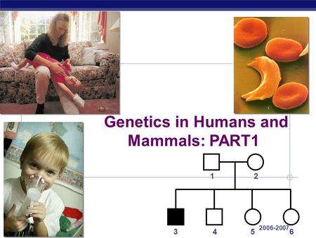 AP Biology 2006-2007 Genetics in Humans and Mammals: PART1 12 3456.