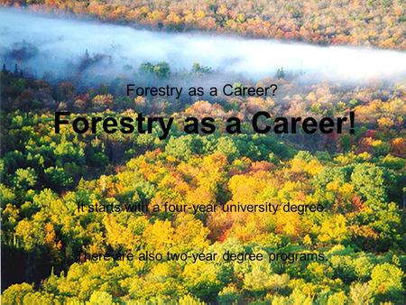 Careers in Forestry Forestry as a Career? Forestry as a Career! It starts with a four-year university degree. There are also two-year degree programs.