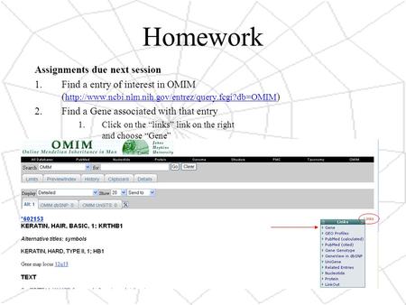 Homework Assignments due next session 1.Find a entry of interest in OMIM (  )