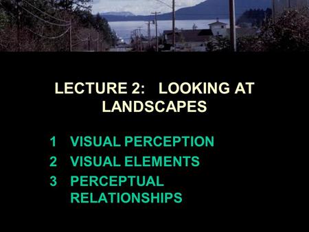 LECTURE 2: LOOKING AT LANDSCAPES 1VISUAL PERCEPTION 2VISUAL ELEMENTS 3PERCEPTUAL RELATIONSHIPS.