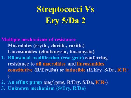 Streptococci Vs Ery 5/Da 2 Multiple mechanisms of resistance Macrolides (eryth., clarith., roxith.) Lincosamides (clindamycin, lincomycin) 1.Ribosomal.