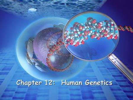 Chapter 12: Human Genetics. Human Genome Project identify all the approximately 20,000- 25,000 genes in human DNA determine the sequences of the 3 billion.