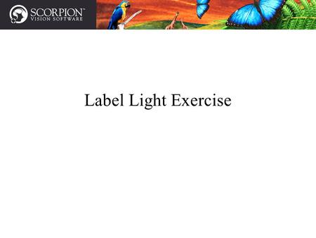 Label Light Exercise. Introduction to Scorpion - Demo 1- Label on Syringe Page 2 Profiles related to the exercise When starting use profile: Label_Light_Start.
