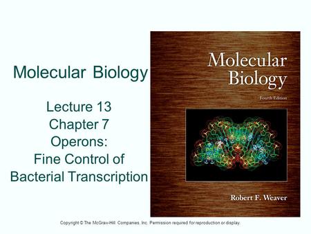 Molecular Biology Lecture 13 Chapter 7 Operons: Fine Control of Bacterial Transcription Copyright © The McGraw-Hill Companies, Inc. Permission required.