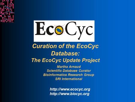 Curation of the EcoCyc Database: The EcoCyc Update Project Martha Arnaud Scientific Database Curator Bioinformatics Research Group SRI International
